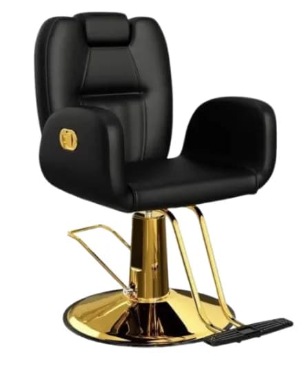 chaise de coiffure SINSIN