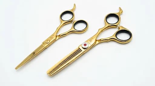 HENBOR ENSEMBLE CISEAUX GOLD 11G