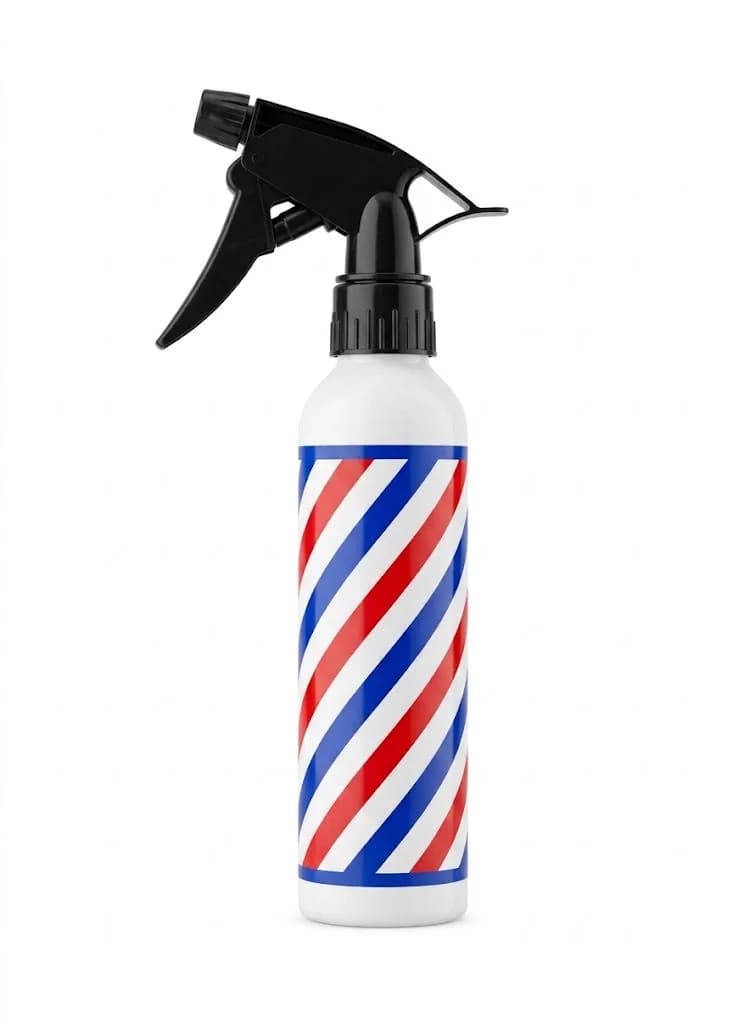 VAPORISATEUR DE COIFFURE